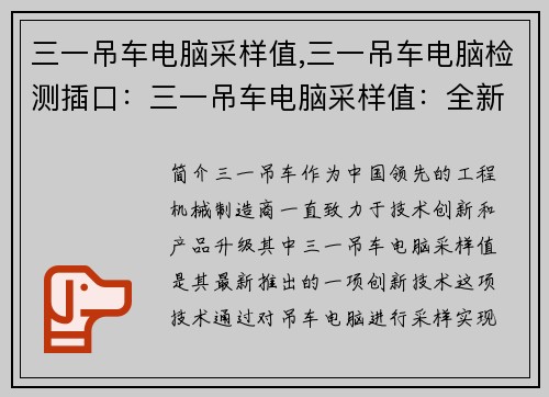 三一吊车电脑采样值,三一吊车电脑检测插口：三一吊车电脑采样值：全新技术引领智能升级