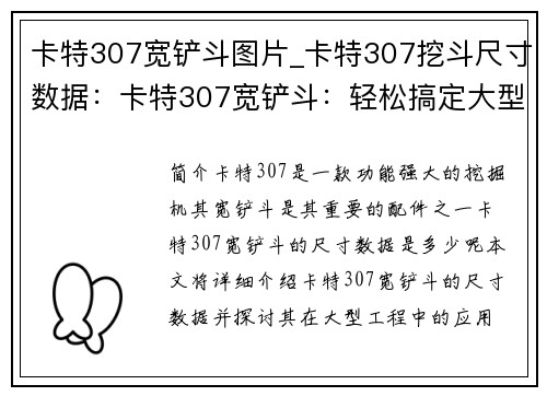 卡特307宽铲斗图片_卡特307挖斗尺寸数据：卡特307宽铲斗：轻松搞定大型工程