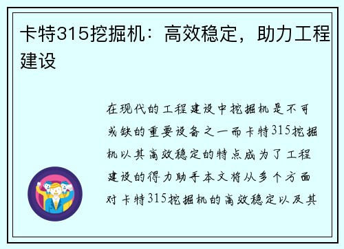 卡特315挖掘机：高效稳定，助力工程建设