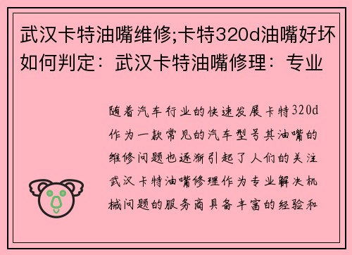 武汉卡特油嘴维修;卡特320d油嘴好坏如何判定：武汉卡特油嘴修理：专业解决您的机械问题