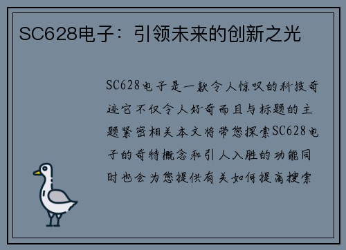 SC628电子：引领未来的创新之光